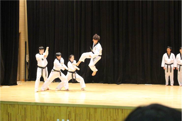 Taekwondo Jump
